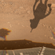 Illustration for article titled 30 Mars Phoenix Discoveries NASA Will Never Show the World